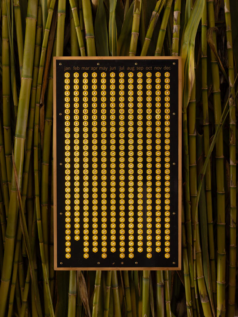 THE EVERY DAY GOAL CALENDAR - Image 4